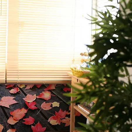 Bamboo Bed & Breakfast Roma